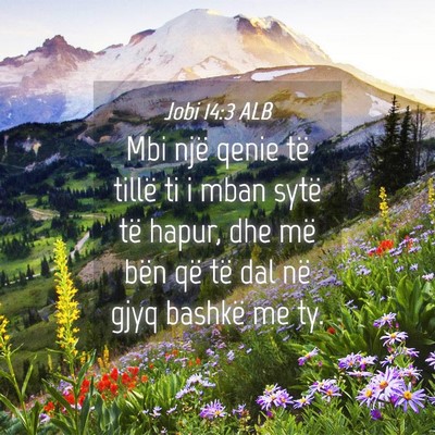 Picture 04 - Jobi 14:3 ALB - Mbi një qenie të tillë ti i mban sytë të - Bible Verse Picture