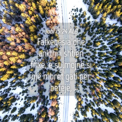 Picture 04 - Jobi 15:24 ALB - Fatkeqësia dhe ankthi i shtien frikë, e - Bible Verse Picture