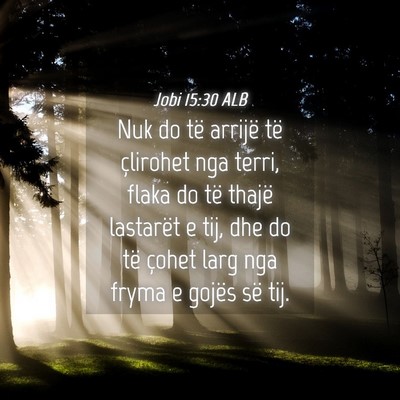 Picture 04 - Jobi 15:30 ALB - Nuk do të arrijë të çlirohet nga terri, flaka - Bible Verse Picture