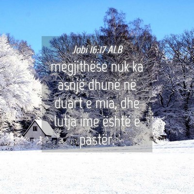 Picture 04 - Jobi 16:17 ALB - megjithëse nuk ka asnjë dhunë në duart e mia, - Bible Verse Picture