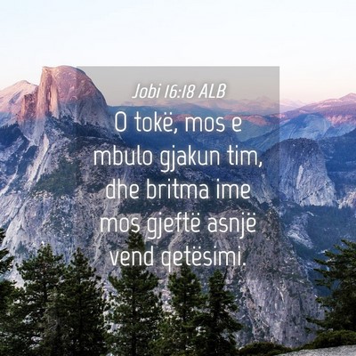 Picture 04 - Jobi 16:18 ALB - O tokë, mos e mbulo gjakun tim, dhe britma ime - Bible Verse Picture