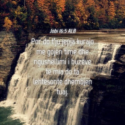 Picture 04 - Jobi 16:5 ALB - Por do t’ju jepja kurajo me gojën time dhe - Bible Verse Picture