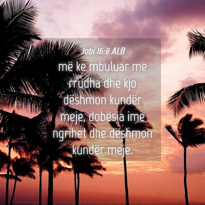 Picture 04 - Jobi 16:8 ALB - më ke mbuluar me rrudha dhe kjo dëshmon kundër - Bible Verse Picture