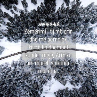 Picture 04 - Jobi 16:9 ALB - Zemërimi i tij më grin dhe më përndjek, - Bible Verse Picture