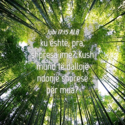 Picture 04 - Jobi 17:15 ALB - ku është, pra, shpresa ime? Kush mund të - Bible Verse Picture