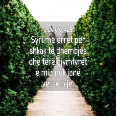 Picture 04 - Jobi 17:7 ALB - Syri më erret për shkak të dhembjes dhe tërë - Bible Verse Picture