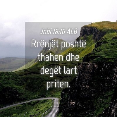 Picture 04 - Jobi 18:16 ALB - Rrënjët poshtë thahen dhe degët lart - Bible Verse Picture