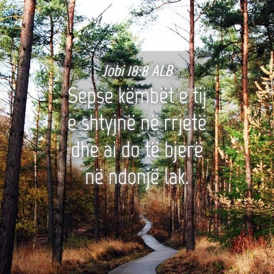 Picture 04 - Jobi 18:8 ALB - Sepse këmbët e tij e shtyjnë në rrjetë dhe - Bible Verse Picture
