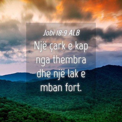 Picture 04 - Jobi 18:9 ALB - Një çark e kap nga thembra dhe një lak e mban - Bible Verse Picture