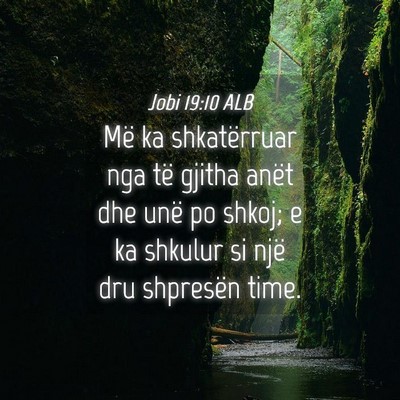 Picture 04 - Jobi 19:10 ALB - Më ka shkatërruar nga të gjitha anët dhe unë - Bible Verse Picture