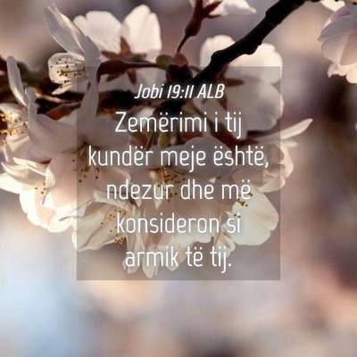 Picture 04 - Jobi 19:11 ALB - Zemërimi i tij kundër meje është, ndezur dhe - Bible Verse Picture