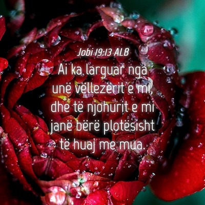Picture 04 - Jobi 19:13 ALB - Ai ka larguar nga unë vëllezërit e mi, dhe të - Bible Verse Picture