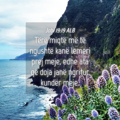 Picture 04 - Jobi 19:19 ALB - Tërë miqtë më të ngushtë kanë lemeri prej - Bible Verse Picture