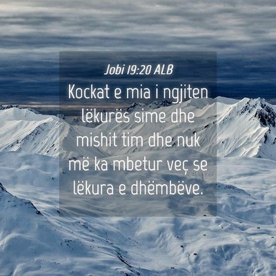 Picture 04 - Jobi 19:20 ALB - Kockat e mia i ngjiten lëkurës sime dhe mishit - Bible Verse Picture