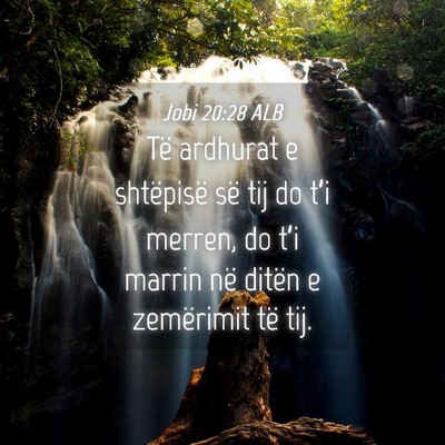 Picture 04 - Jobi 20:28 ALB - Të ardhurat e shtëpisë së tij do t’i - Bible Verse Picture