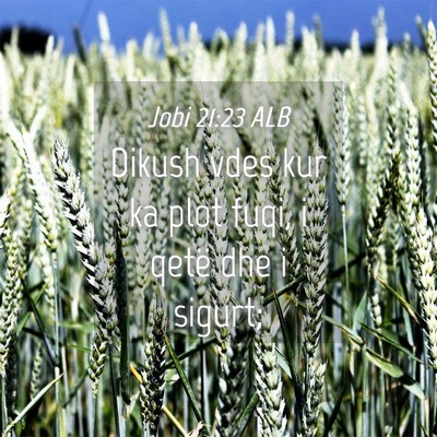 Picture 04 - Jobi 21:23 ALB - Dikush vdes kur ka plot fuqi, i qetë dhe i - Bible Verse Picture