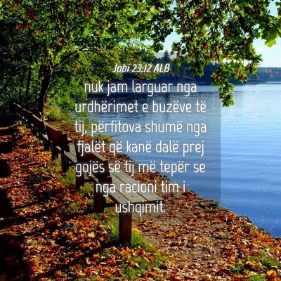 Picture 04 - Jobi 23:12 ALB - nuk jam larguar nga urdhërimet e buzëve të - Bible Verse Picture