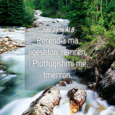 Picture 04 - Jobi 23:16 ALB - Perëndia ma ligështon zemrën, i Plotfuqishmi - Bible Verse Picture