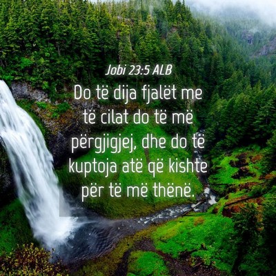 Picture 04 - Jobi 23:5 ALB - Do të dija fjalët me të cilat do të më - Bible Verse Picture