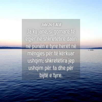 Picture 04 - Jobi 24:5 ALB - Ja ku janë, si gomarë të egjër në - Bible Verse Picture