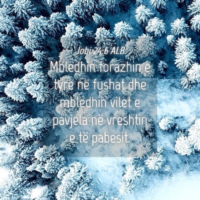 Picture 04 - Jobi 24:6 ALB - Mbledhin forazhin e tyre në fushat dhe mbledhin - Bible Verse Picture