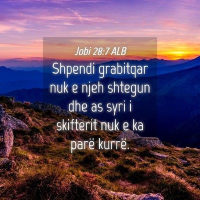 Picture 04 - Jobi 28:7 ALB - Shpendi grabitqar nuk e njeh shtegun dhe as syri - Bible Verse Picture
