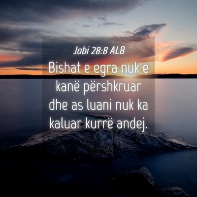 Picture 04 - Jobi 28:8 ALB - Bishat e egra nuk e kanë përshkruar dhe as - Bible Verse Picture