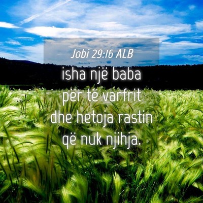 Picture 04 - Jobi 29:16 ALB - isha një baba për të varfrit dhe hetoja rastin - Bible Verse Picture