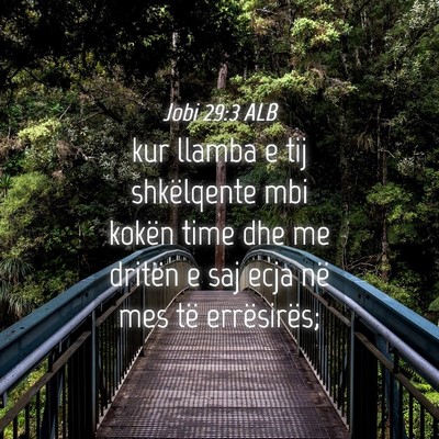 Picture 04 - Jobi 29:3 ALB - kur llamba e tij shkëlqente mbi kokën time dhe - Bible Verse Picture