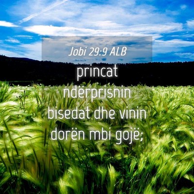 Picture 04 - Jobi 29:9 ALB - princat ndërprisnin bisedat dhe vinin dorën mbi - Bible Verse Picture