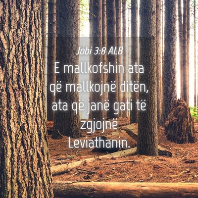 Picture 04 - Jobi 3:8 ALB - E mallkofshin ata që mallkojnë ditën, ata që - Bible Verse Picture