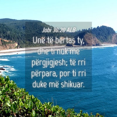 Picture 04 - Jobi 30:20 ALB - Unë të bërtas ty, dhe ti nuk më përgjigjesh; - Bible Verse Picture