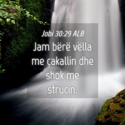 Picture 04 - Jobi 30:29 ALB - Jam bërë vëlla me çakallin dhe shok me - Bible Verse Picture