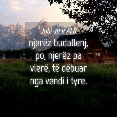 Picture 04 - Jobi 30:8 ALB - njerëz budallenj, po, njerëz pa vlerë, të - Bible Verse Picture