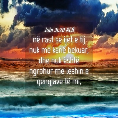 Picture 04 - Jobi 31:20 ALB - në rast se ijet e tij nuk më kanë bekuar, dhe - Bible Verse Picture