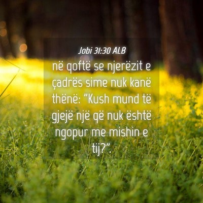 Picture 04 - Jobi 31:30 ALB - në qoftë se njerëzit e çadrës sime nuk kanë - Bible Verse Picture