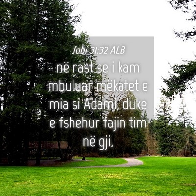 Picture 04 - Jobi 31:32 ALB - në rast se i kam mbuluar mëkatet e mia si - Bible Verse Picture