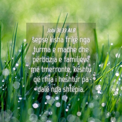 Picture 04 - Jobi 31:33 ALB - sepse kisha frikë nga turma e madhe dhe - Bible Verse Picture