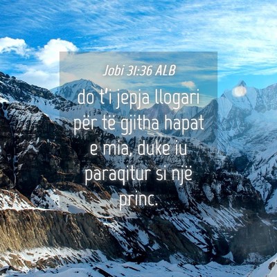 Picture 04 - Jobi 31:36 ALB - do t’i jepja llogari për të gjitha hapat e - Bible Verse Picture