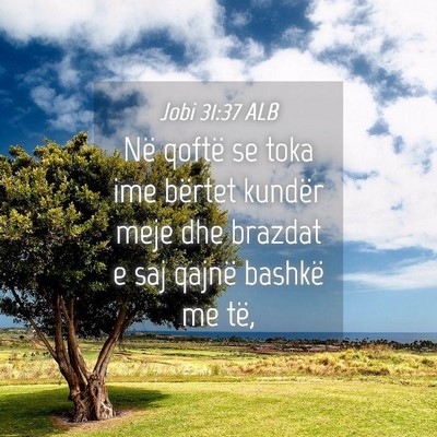 Picture 04 - Jobi 31:37 ALB - Në qoftë se toka ime bërtet kundër meje dhe - Bible Verse Picture