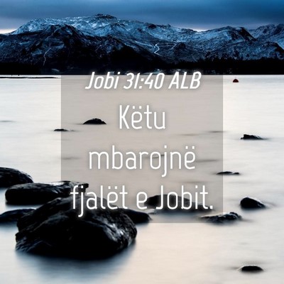 Picture 04 - Jobi 31:40 ALB - Këtu mbarojnë fjalët e - Bible Verse Picture