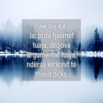 Picture 04 - Jobi 32:11 ALB - Ja, prita fjalimet tuaja, dëgjova argumentat - Bible Verse Picture