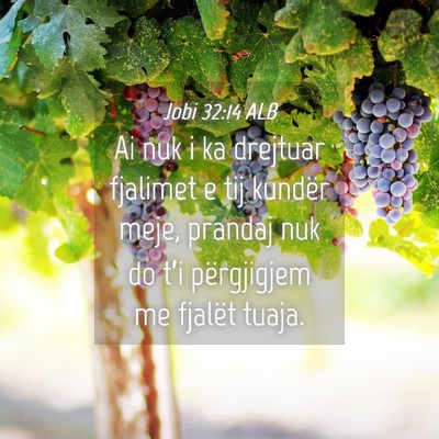 Picture 04 - Jobi 32:14 ALB - Ai nuk i ka drejtuar fjalimet e tij kundër meje, - Bible Verse Picture