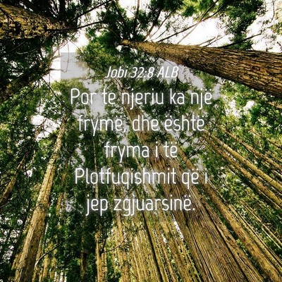 Picture 04 - Jobi 32:8 ALB - Por te njeriu ka një frymë, dhe është fryma i - Bible Verse Picture