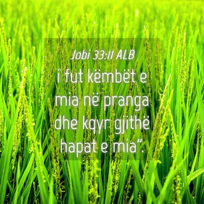 Picture 04 - Jobi 33:11 ALB - i fut këmbët e mia në pranga dhe kqyr gjithë - Bible Verse Picture