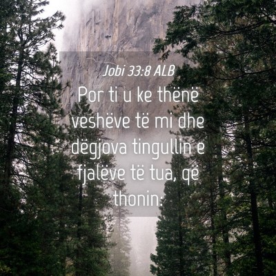Picture 04 - Jobi 33:8 ALB - Por ti u ke thënë veshëve të mi dhe dëgjova - Bible Verse Picture