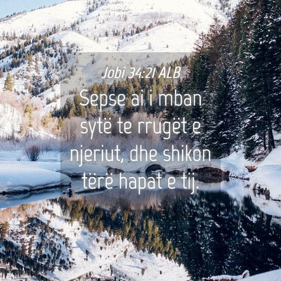 Picture 04 - Jobi 34:21 ALB - Sepse ai i mban sytë te rrugët e njeriut, dhe - Bible Verse Picture
