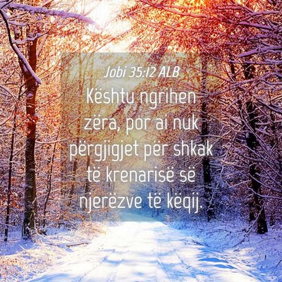 Picture 04 - Jobi 35:12 ALB - Kështu ngrihen zëra, por ai nuk përgjigjet - Bible Verse Picture