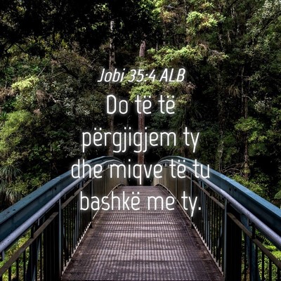 Picture 04 - Jobi 35:4 ALB - Do të të përgjigjem ty dhe miqve të tu - Bible Verse Picture