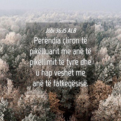 Picture 04 - Jobi 36:15 ALB - Perëndia çliron të pikëlluarit me anë të - Bible Verse Picture